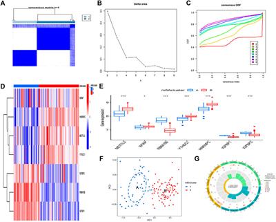 Significance of m6A regulatory factor in gene expression and immune function of osteoarthritis